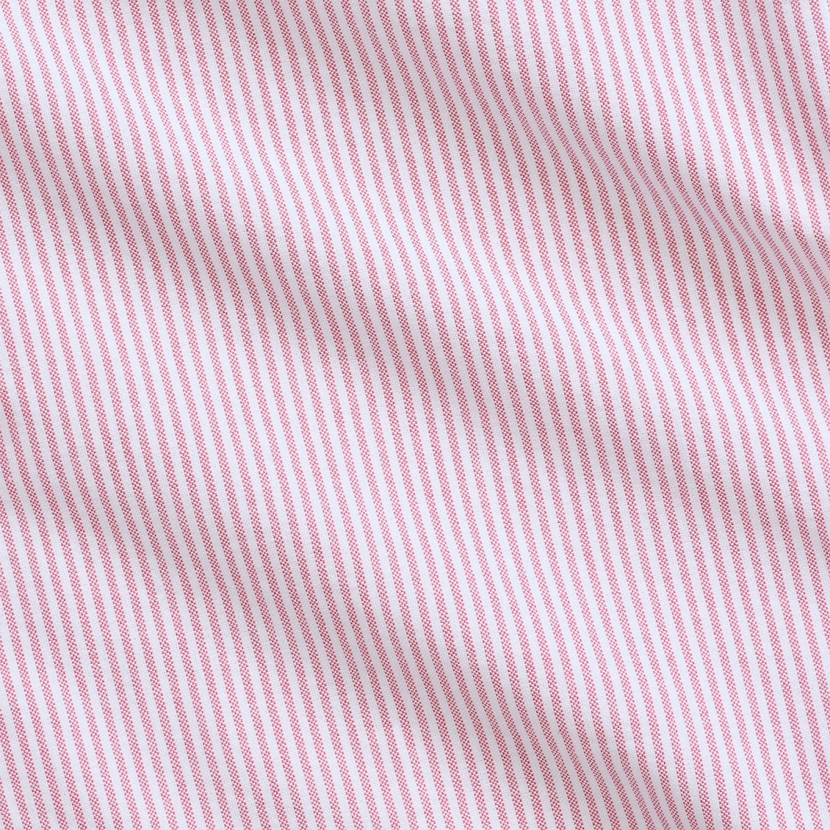 CUSTOM FIT OXFORD SHIRT STRIPE BERRY/WHITE