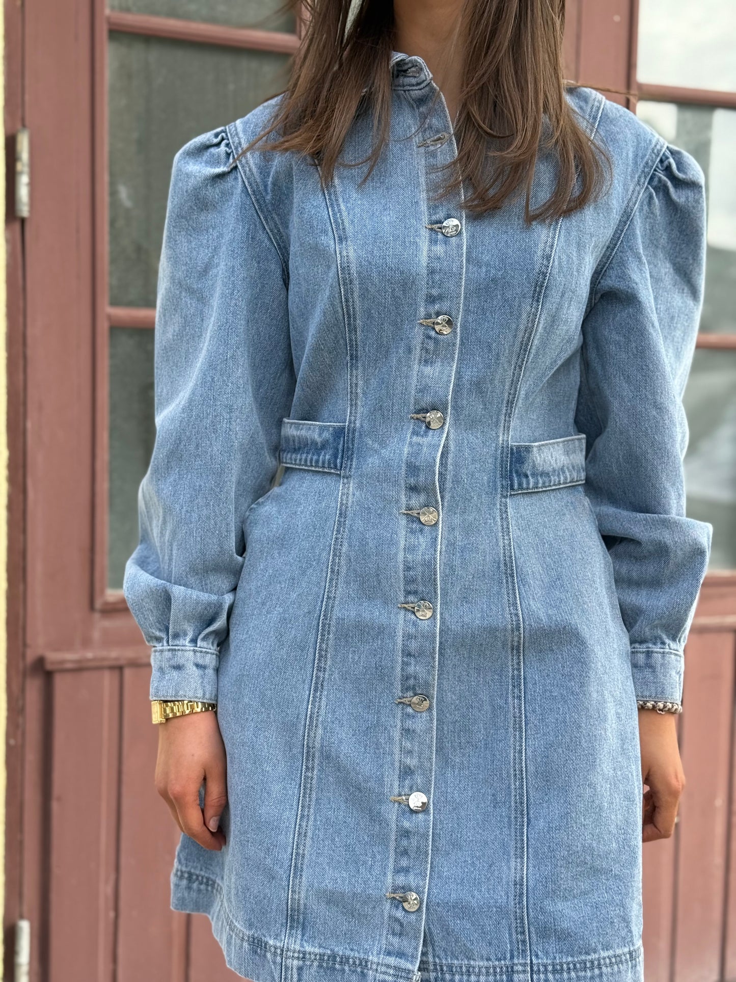PARIS DENIM DRESS