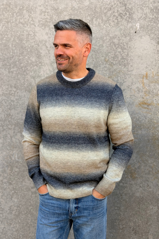 AIDEN CREW NECK 15012