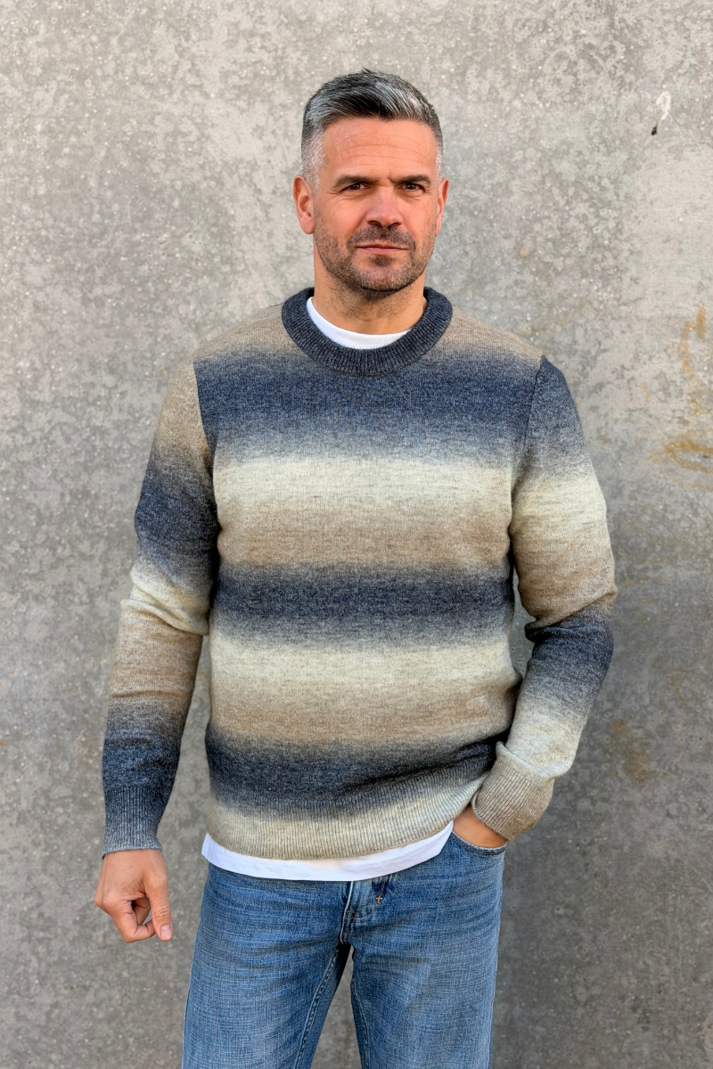 AIDEN CREW NECK 15012
