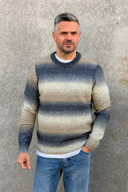 AIDEN CREW NECK 15012