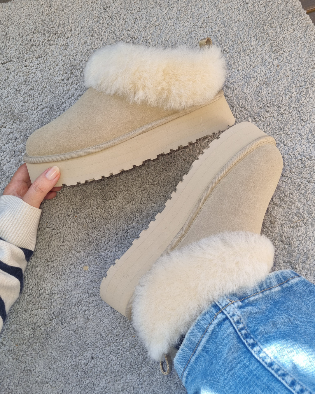 W TAZZELLE MUSTARD SEED