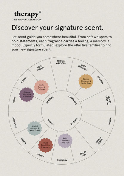 BALANCE CINNAMON & VANILLA BEAN REED DIFFUSER