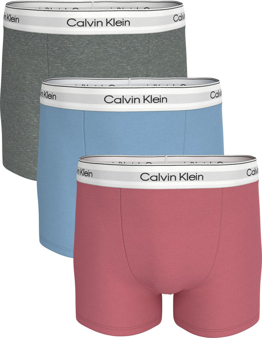 RELAXED FIT TRUNK 3PK
