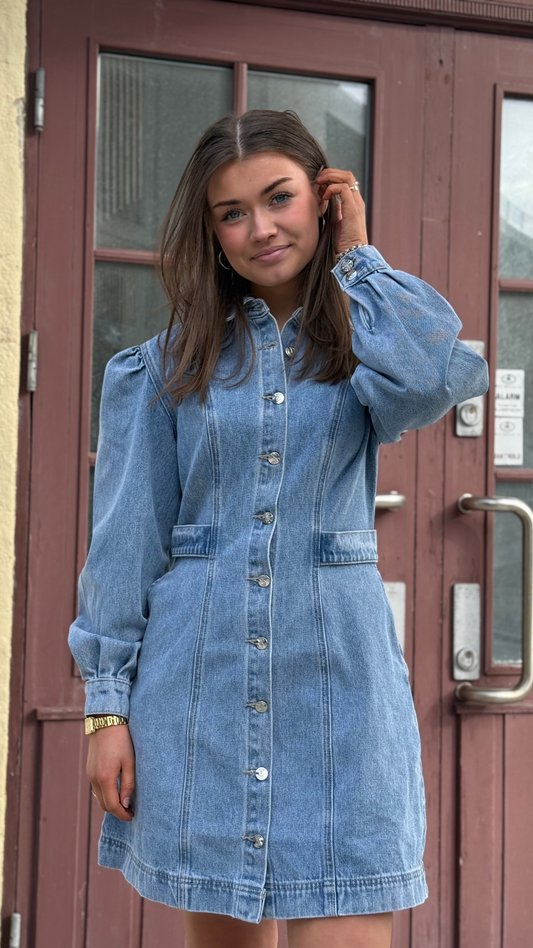 PARIS DENIM DRESS