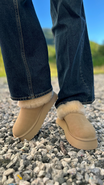 W TAZZELLE MUSTARD SEED