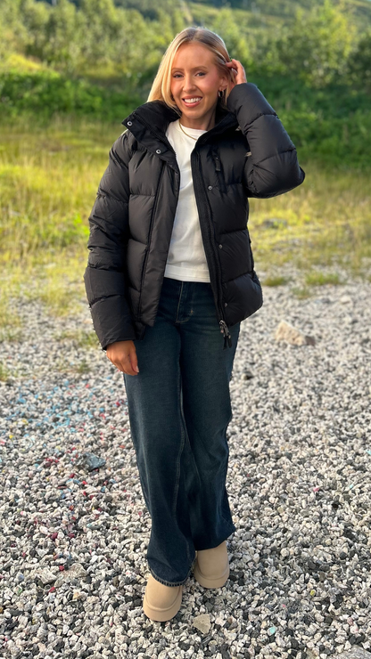 W TAZZELLE MUSTARD SEED