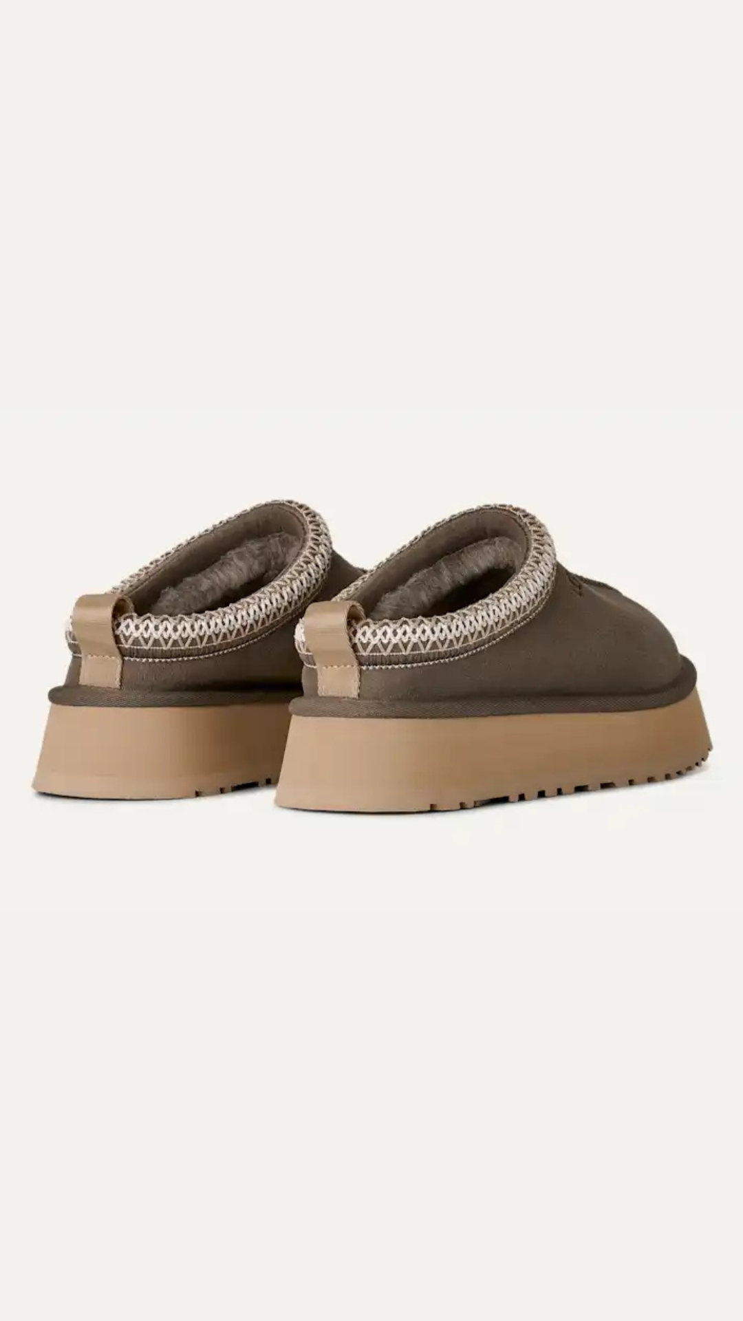 W TAZZ II DRIED OREGANO