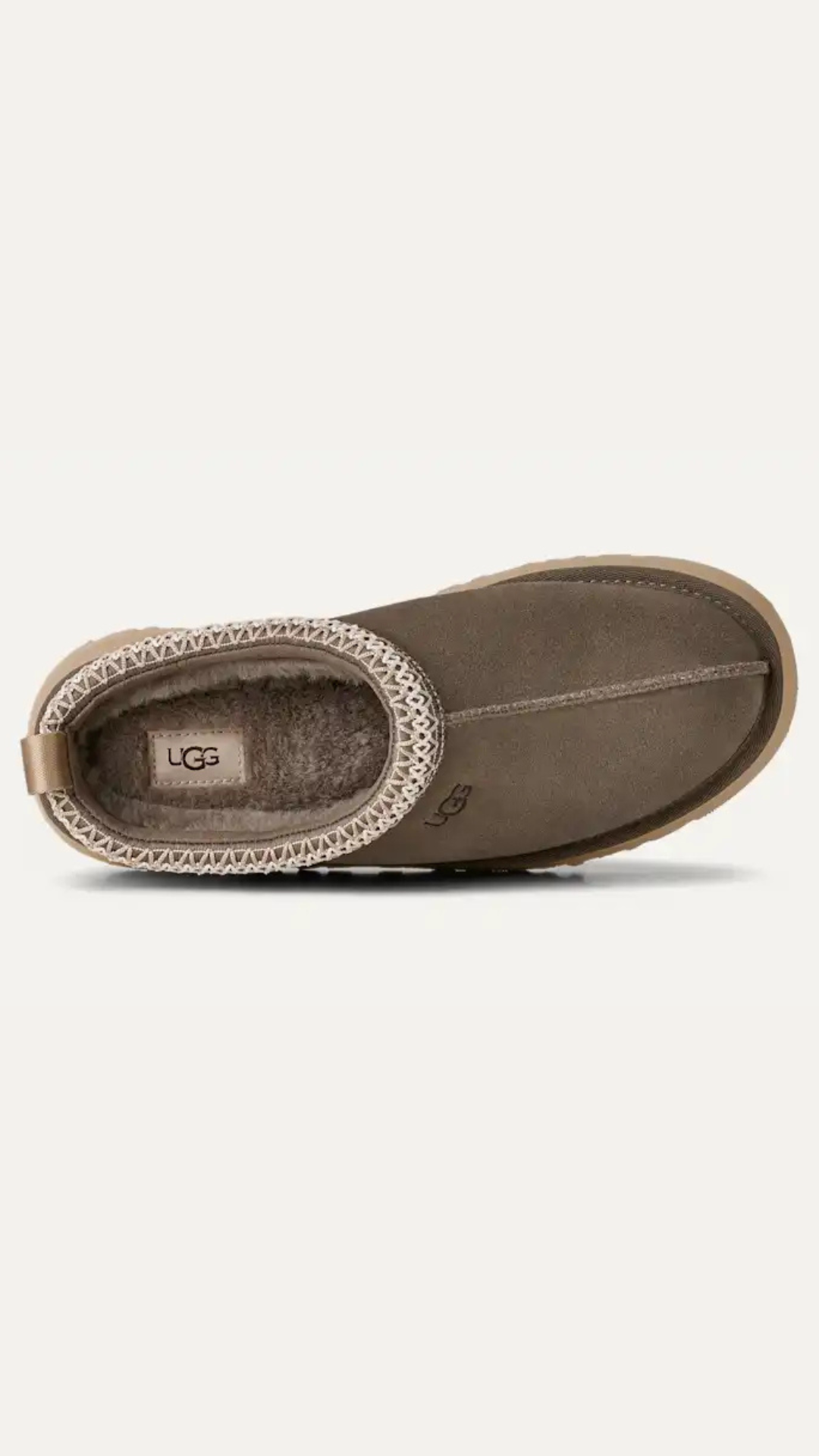 W TAZZ II DRIED OREGANO